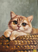 Load image into Gallery viewer, Scottish Fold Cat Study